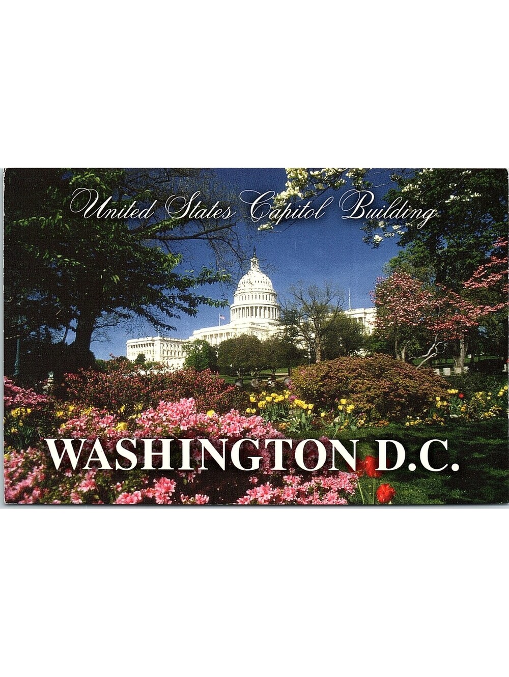 Vintage Postcard US Capitol Building Washington DC Signature Series